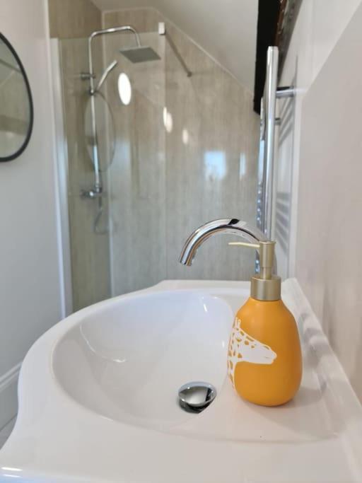 Stylish Georgian Apartment In An Ideal Location ノース・ウォルシャム エクステリア 写真